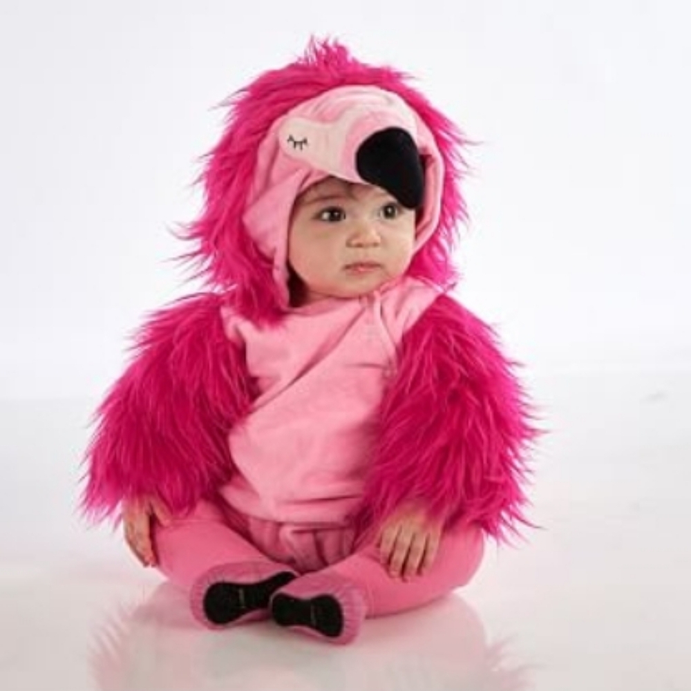 Pink Flamingo baby Costume, size 12 to 18 month, pottery barn kids brand